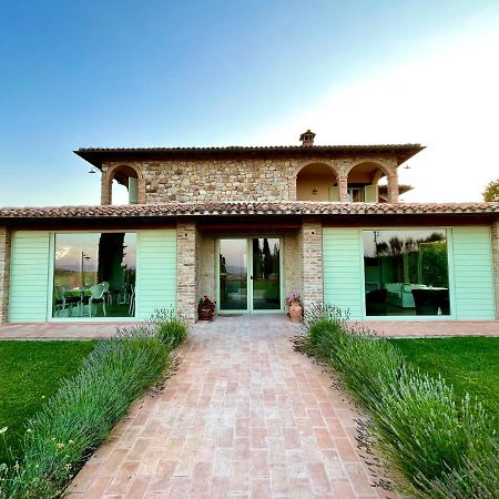 Agriturismo Fattoria Di Monticello San Venanzo Kültér fotó