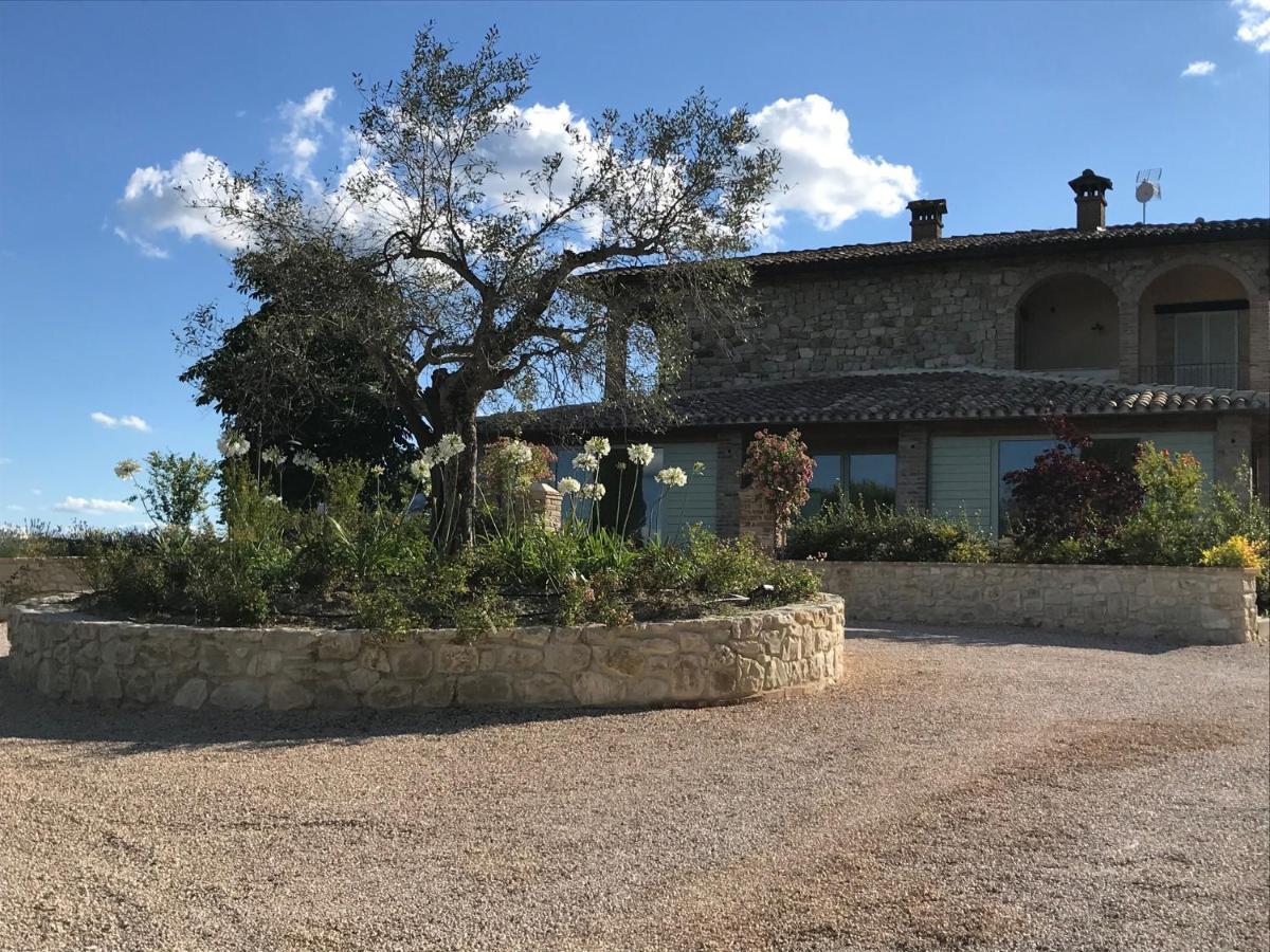 Agriturismo Fattoria Di Monticello San Venanzo Kültér fotó