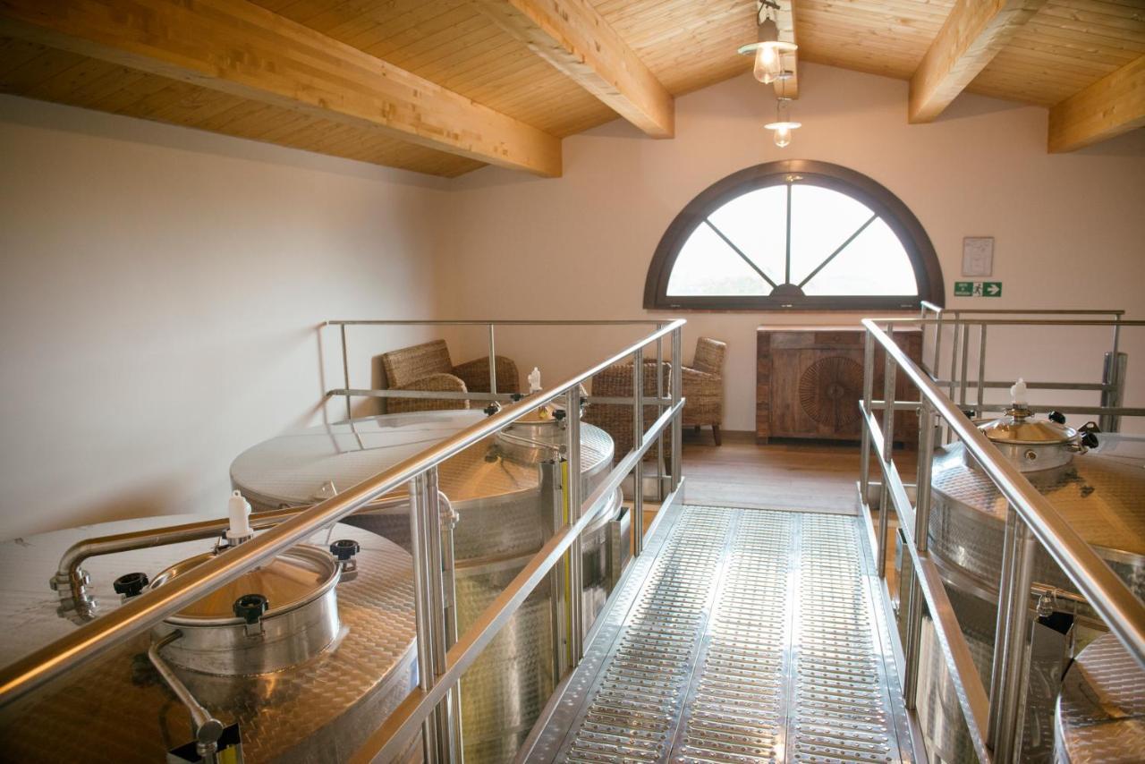 Agriturismo Fattoria Di Monticello San Venanzo Kültér fotó