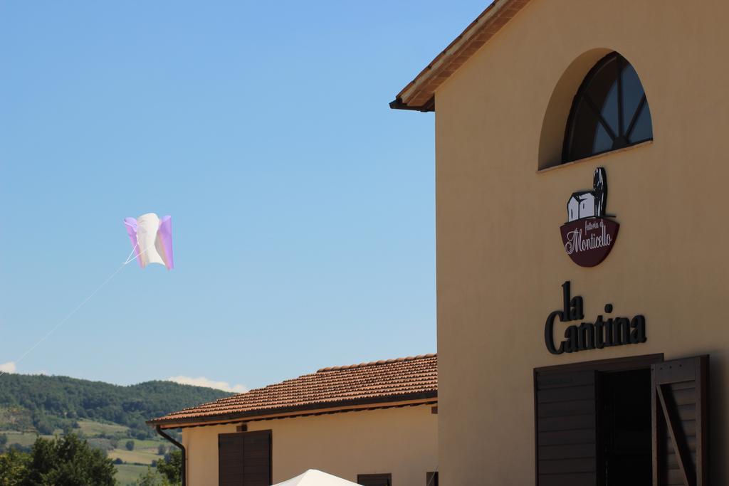 Agriturismo Fattoria Di Monticello San Venanzo Kültér fotó