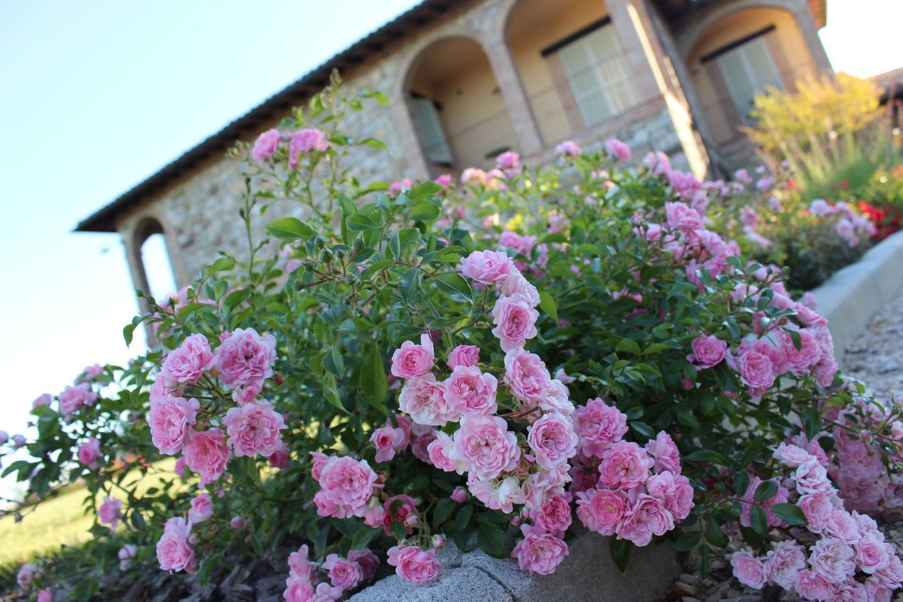 Agriturismo Fattoria Di Monticello San Venanzo Kültér fotó