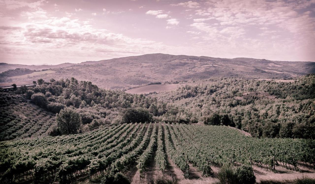 Agriturismo Fattoria Di Monticello San Venanzo Kültér fotó