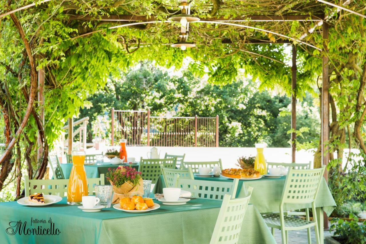 Agriturismo Fattoria Di Monticello San Venanzo Kültér fotó