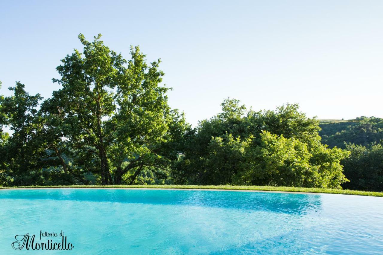 Agriturismo Fattoria Di Monticello San Venanzo Kültér fotó