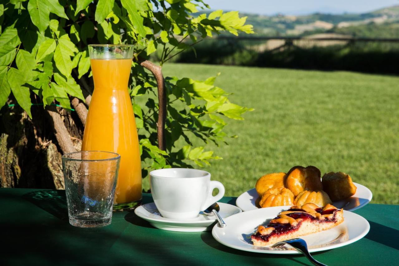 Agriturismo Fattoria Di Monticello San Venanzo Kültér fotó